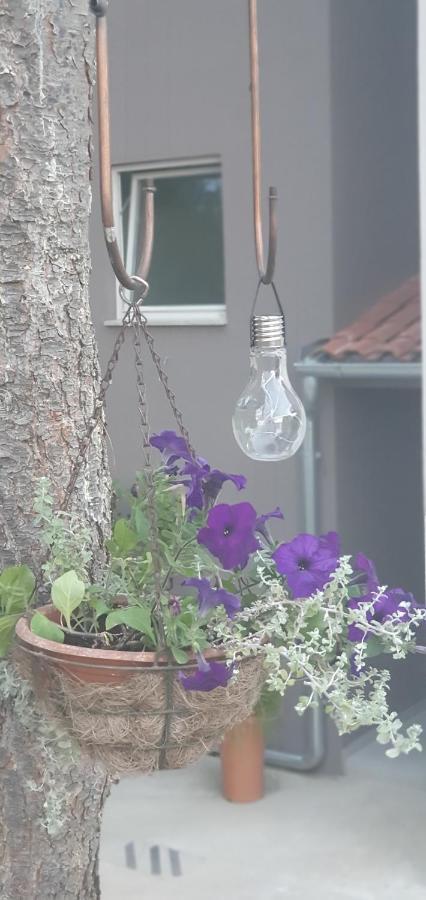 Apartman Tika  Pula Bagian luar foto